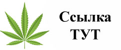 Купить наркотики в Белгороде